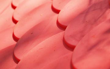 Garliford plastic roof costs