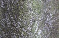 Garliford fibreglass roof work